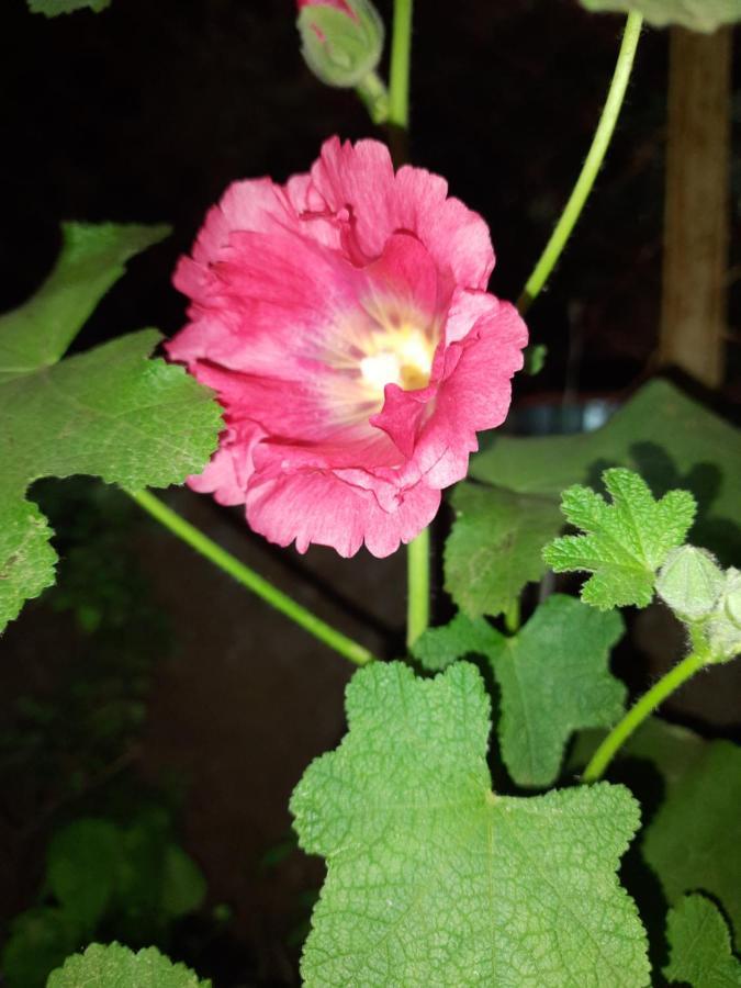 Trimurti * Panchgani