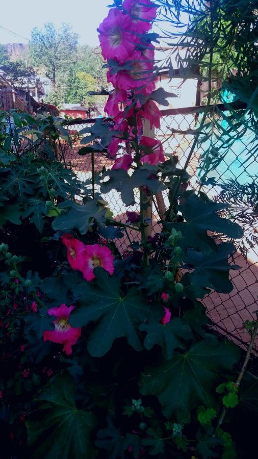 Holiday home Trimurti